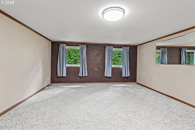 spare room with carpet and ornamental molding