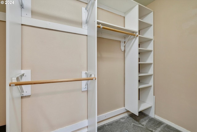 spacious closet featuring carpet flooring