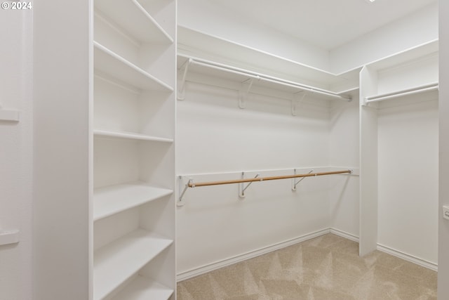 walk in closet featuring light colored carpet