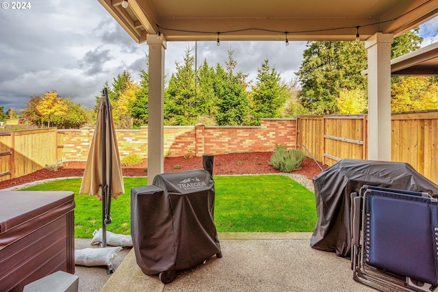 view of yard featuring a patio