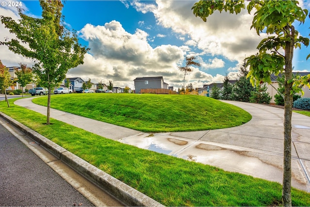 view of home's community featuring a yard