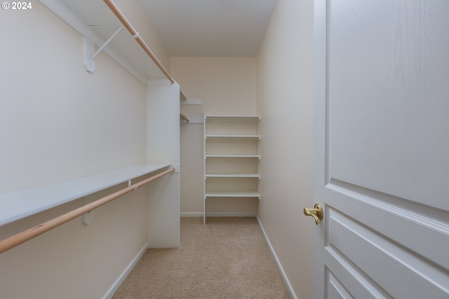 spacious closet with light colored carpet