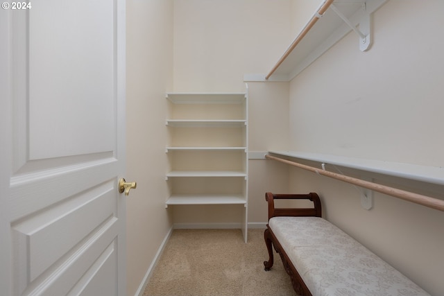 walk in closet featuring light carpet