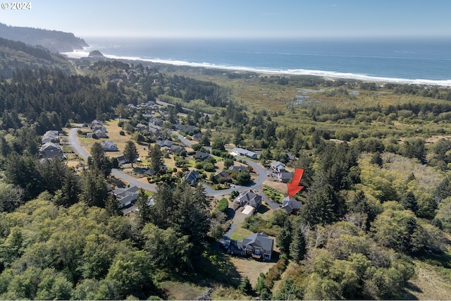 drone / aerial view with a water view and a view of the beach