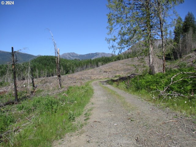 000 Green Mountain Rd, Gates OR, 97346 land for sale