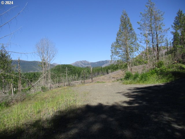 Listing photo 2 for 000 Green Mountain Rd, Gates OR 97346