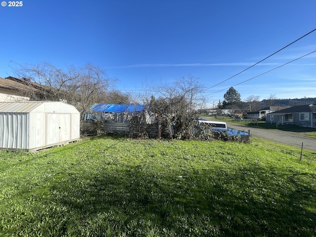 view of yard featuring a storage unit