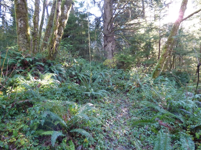 88271 Mccormick Gardens Rd, Gearhart, OR 97138