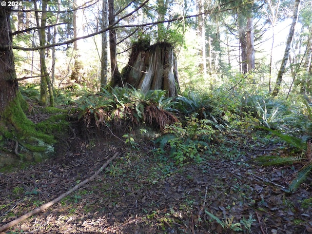 88271 Mccormick Gardens Rd, Gearhart, OR 97138