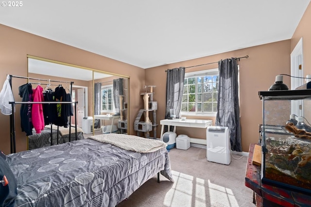 7143 SW Sagert St Unit 104, Tualatin, OR 97062 - carpeted bedroom featuring a closet