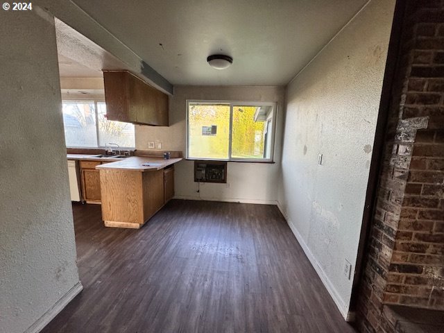 kitchen with white dishwasher, sink, dark hardwood / wood-style floors, and a healthy amount of sunlight