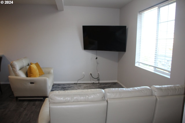 living room with dark hardwood / wood-style floors