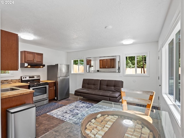 kitchen featuring appliances with stainless steel finishes, a wealth of natural light, sink, and a textured ceiling