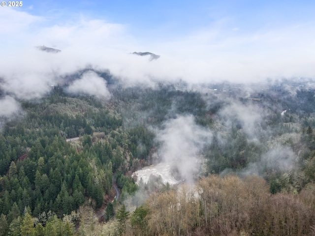 view of mountain feature featuring a view of trees