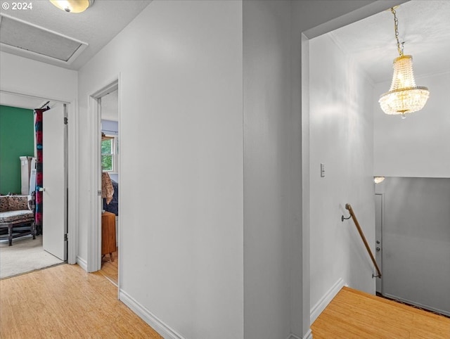 hallway with hardwood / wood-style floors