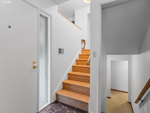 staircase with carpet flooring