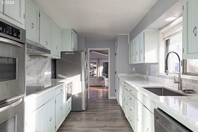 kitchen featuring sink, stainless steel appliances, a wealth of natural light, and light hardwood / wood-style flooring