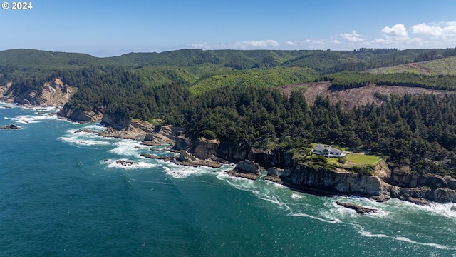 birds eye view of property with a water and mountain view