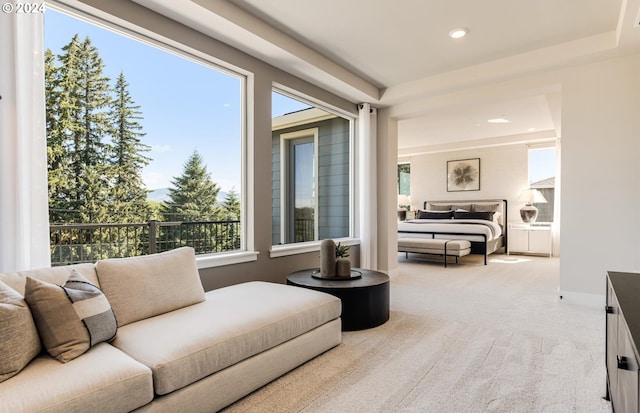 interior space with a raised ceiling and light colored carpet