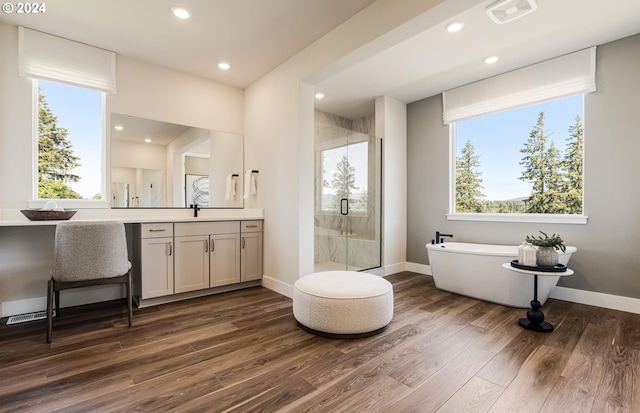 bathroom featuring plus walk in shower, hardwood / wood-style floors, and vanity