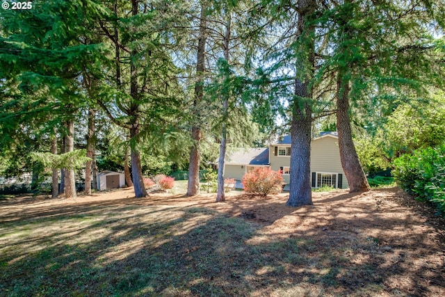 view of yard featuring a storage shed