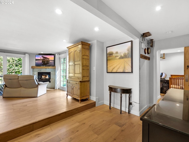 living room featuring light hardwood / wood-style floors and a premium fireplace