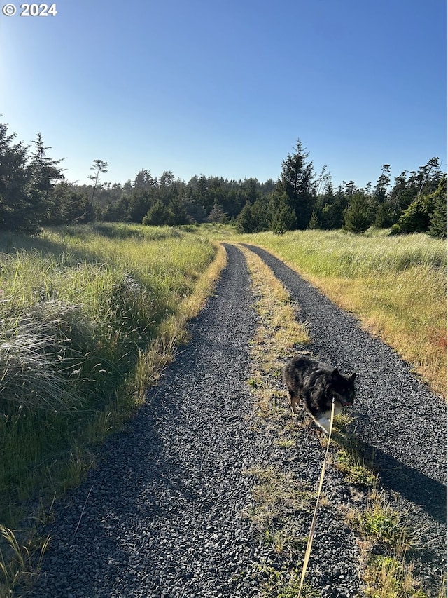 view of road with a rural view