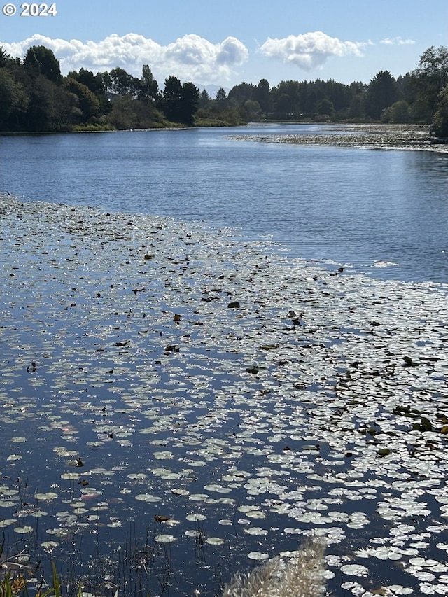 view of water feature