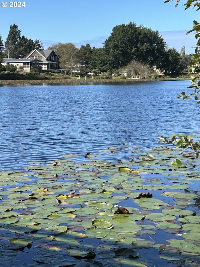 view of water feature