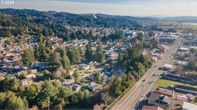 birds eye view of property featuring a mountain view