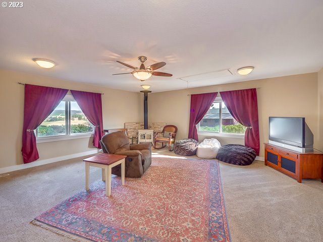 carpeted living room featuring ceiling fan, a wood stove, and plenty of natural light