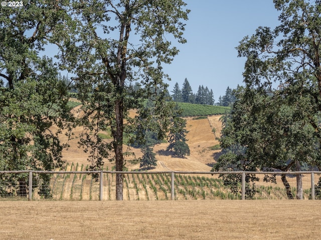 view of yard with a rural view