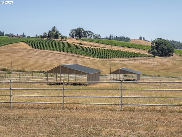 view of yard with a rural view