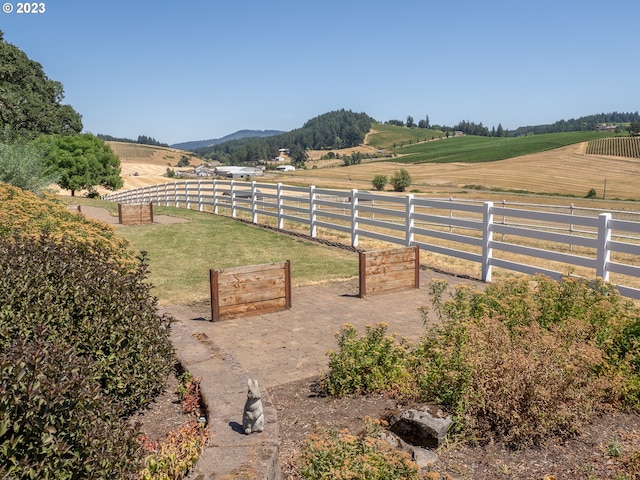 view of yard featuring a rural view and a mountain view