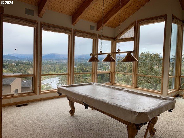 recreation room featuring plenty of natural light and carpet floors