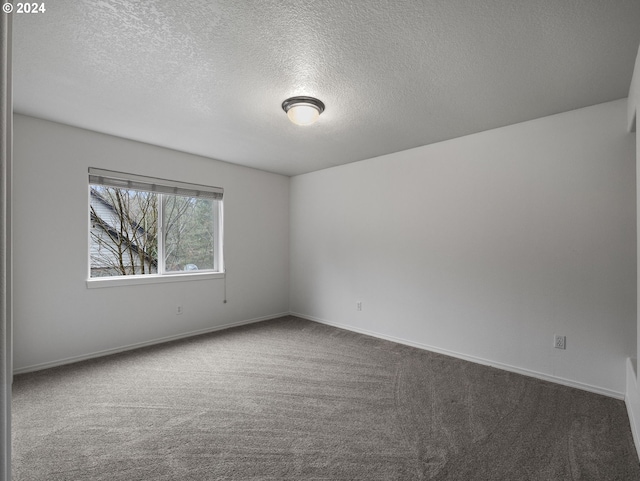 unfurnished room with carpet flooring and a textured ceiling