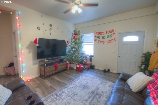 kitchen featuring dark wood-type flooring, white appliances, ceiling fan, and sink