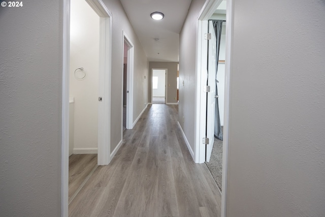 hall with light hardwood / wood-style flooring