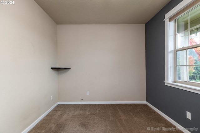 carpeted spare room featuring a wealth of natural light