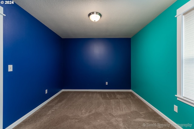 carpeted empty room with plenty of natural light and a textured ceiling