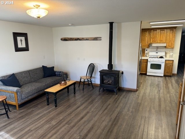 living room featuring dark wood-type flooring and a wood stove