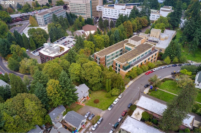 bird's eye view