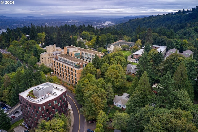 aerial view with a forest view