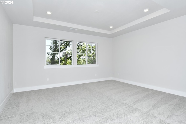 empty room featuring carpet flooring and a raised ceiling