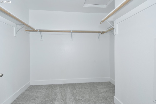 spacious closet with light colored carpet