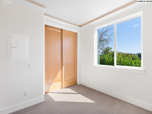 unfurnished bedroom featuring electric panel and carpet