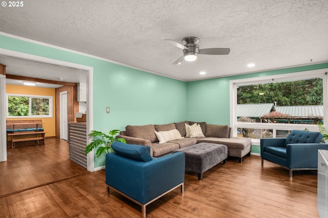 living room with hardwood / wood-style floors, ceiling fan, ornamental molding, and a textured ceiling