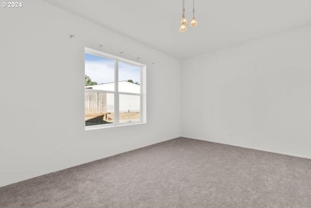 unfurnished room with carpet flooring