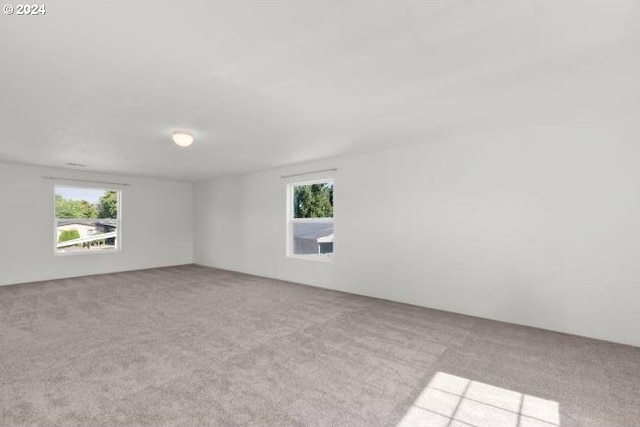 spare room featuring light colored carpet and plenty of natural light