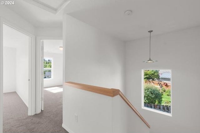 hallway featuring carpet flooring, attic access, and an upstairs landing